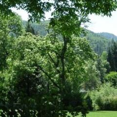 Отель Holiday Inn Express & Suites Ashland фото 8