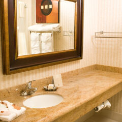 Отель Borrego Springs Resort and Spa ванная