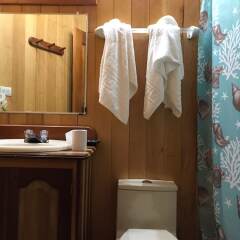 Hotel y Termas Jilamito ванная