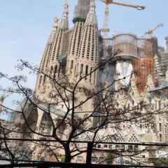 Отель Gaudi Apartment Испания, Барселона - отзывы, цены и фото номеров - забронировать отель Gaudi Apartment онлайн фото 7