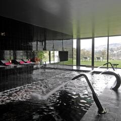 Douro Palace Hotel Resort and Spa бассейн фото 2