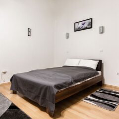 Отель Wesselenyi 2 Apartment Венгрия, Будапешт - отзывы, цены и фото номеров - забронировать отель Wesselenyi 2 Apartment онлайн комната для гостей фото 4