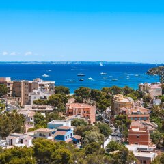 Отель Globales Mimosa Испания, Пальманова - отзывы, цены и фото номеров - забронировать отель Globales Mimosa онлайн фото 8