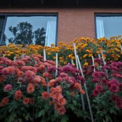 Отель Dhulikhel Mountain Resort Непал, Дхуликхел - отзывы, цены и фото номеров - забронировать отель Dhulikhel Mountain Resort онлайн фото 11