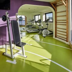 Отель Holiday Inn Nice Франция, Ницца - 3 отзыва об отеле, цены и фото номеров - забронировать отель Holiday Inn Nice онлайн фитнесс-зал