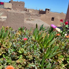 Отель Dar El Nath Марокко, Уарзазат - отзывы, цены и фото номеров - забронировать отель Dar El Nath онлайн
