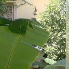 Отель Riad Villa Harmonie Марракеш бассейн фото 2