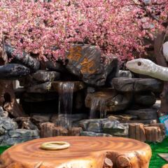 Guangzhou Jiafu Lijing Hotel Panyu Branch питание