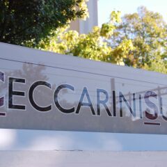 Отель Ceccarini Suite балкон