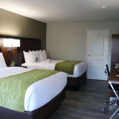 Comfort Inn in Pacheco, United States of America from 129$, photos, reviews - zenhotels.com guestroom photo 4