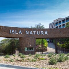 Отель Isla Natura Beach Huatulco гостиничный бар