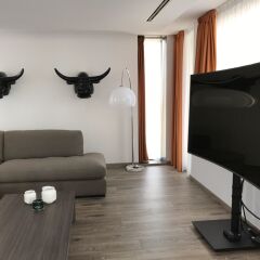 Апартаменты Cosmo Apartments Sants Барселона комната для гостей фото 4