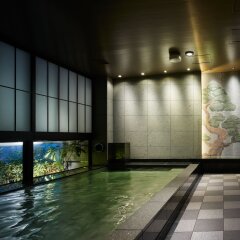 Отель Mitsui Garden Hotel Ginza gochome Япония, Токио - отзывы, цены и фото номеров - забронировать отель Mitsui Garden Hotel Ginza gochome онлайн бассейн