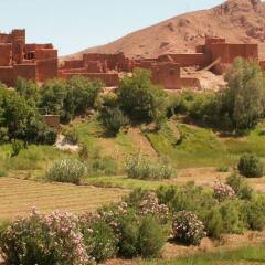 Отель Riad Ouarzazate Марокко, Уарзазат - отзывы, цены и фото номеров - забронировать отель Riad Ouarzazate онлайн