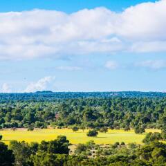 Hotel Torre Azul & Spa - Adults Only