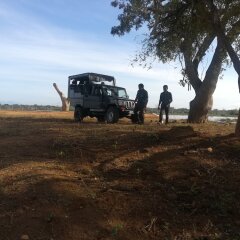 Отель Wild eco safari