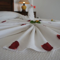 Family Belvedere Hotel Турция, Мугла - отзывы, цены и фото номеров - забронировать отель Family Belvedere Hotel онлайн сейф в номере
