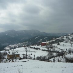 Отель Ecohotel Vishnevo Болгария, Пампорово - отзывы, цены и фото номеров - забронировать отель Ecohotel Vishnevo онлайн фото 19