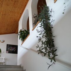 Отель Guest House Barbov Болгария, Аврен - отзывы, цены и фото номеров - забронировать отель Guest House Barbov онлайн интерьер отеля фото 3