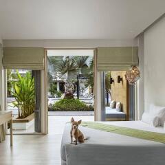Отель The Lapa Hua Hin комната для гостей