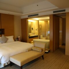 Grand Skylight International Hotel Shenzhen Guanlan Avenue комната для гостей фото 2