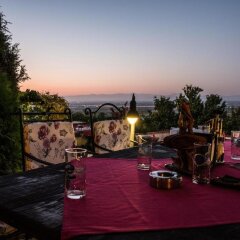 Отель Chiflika Family Hotel Болгария, Асеновград - отзывы, цены и фото номеров - забронировать отель Chiflika Family Hotel онлайн питание фото 2