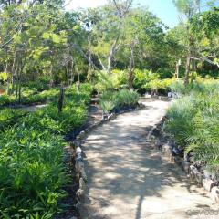 Отель Hacienda Tres Rios Resort Spa & Nature Park - Все включено фото 6