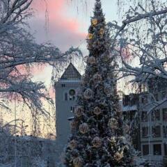 Hotel Jelgava фото 11