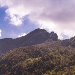 Sapa Family House Hotel