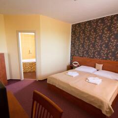 Hotel Olympionik Мельник комната для гостей