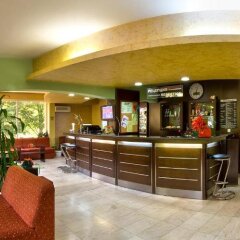 Отель Family Hotel Gabrovo Болгария, Боженци - отзывы, цены и фото номеров - забронировать отель Family Hotel Gabrovo онлайн гостиничный бар