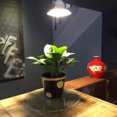 Da Lach Hostel Далат интерьер отеля фото 3