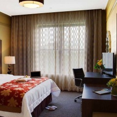 Opera House Hotel комната для гостей фото 4