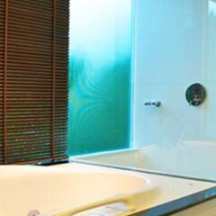 Отель Pilanta Spa Resort Ланта ванная