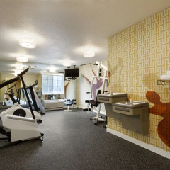 Отель Hawthorn Suites by Wyndham Chicago Schaumburg фитнесс-зал
