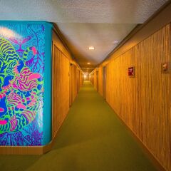 Отель The Downtowner США, Лас-Вегас - 1 отзыв об отеле, цены и фото номеров - забронировать отель The Downtowner онлайн интерьер отеля