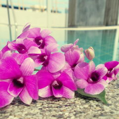 Отель Patong Palm Resort ванная
