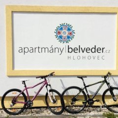 Отель Apartmany Belveder Чехия, Леднице - отзывы, цены и фото номеров - забронировать отель Apartmany Belveder онлайн фото 8