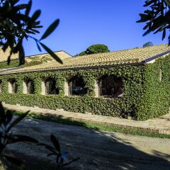 Отель Agriturismo Salemi Италия, Пьяцца-Армерина - отзывы, цены и фото номеров - забронировать отель Agriturismo Salemi онлайн фото 12