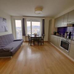 Апартаменты Hitrental Letzigrund - Apartment Цюрих фото 6