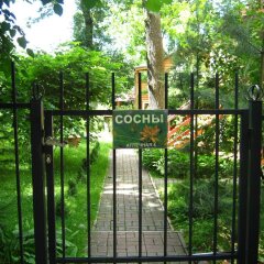 Отель Guest Complex Sosny Светлогорск приотельная территория