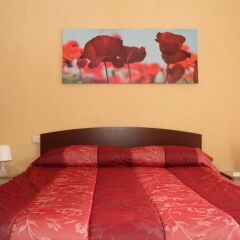 Отель B&B La Rosa Blu Бари комната для гостей фото 3