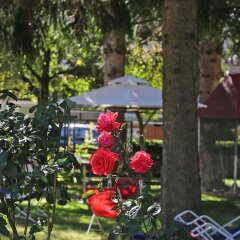 Hotel Stella Alpina Фай-делла-Паганелла развлечения