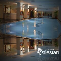 Quality Silesian Hotel бассейн
