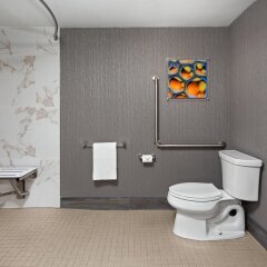 Travelodge Hotel Toronto Airport ванная