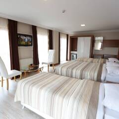 Bursa Palas Hotel Турция, Бурса - отзывы, цены и фото номеров - забронировать отель Bursa Palas Hotel онлайн комната для гостей фото 4