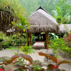 Отель Bora Bora Pearl Beach Resort and Spa фото 12