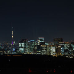 Отель The Prince Gallery Tokyo Kioicho, A Luxury Collection Hotel Япония, Токио - отзывы, цены и фото номеров - забронировать отель The Prince Gallery Tokyo Kioicho, A Luxury Collection Hotel онлайн пляж