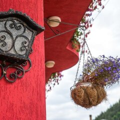 Отель Family Hotel Flora Болгария, Ардино - отзывы, цены и фото номеров - забронировать отель Family Hotel Flora онлайн фото 15