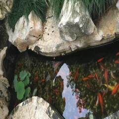 Отель Shantang Inn - Suzhou с домашними животными